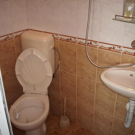 Guest house Georgievi *