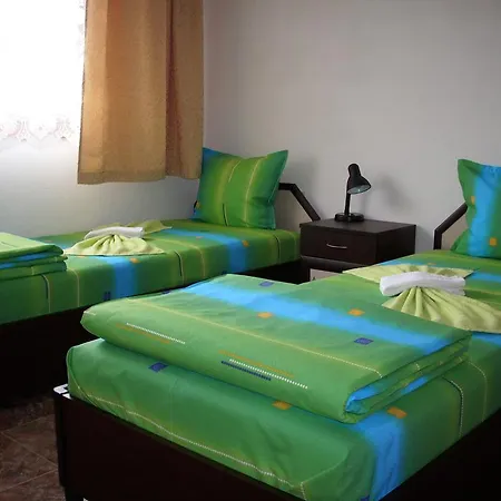 Guest house Georgievi