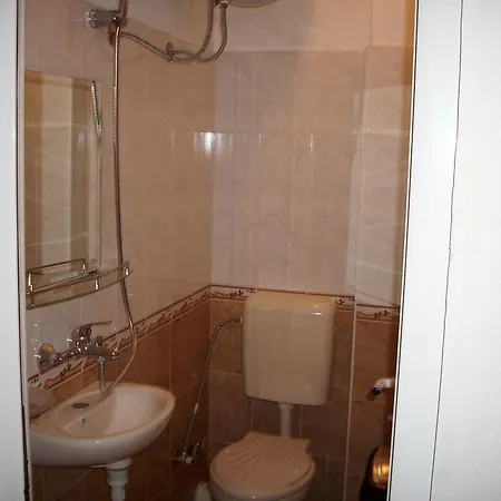 Guest house Georgievi *